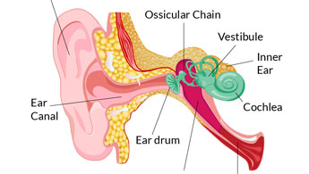 audiologist test